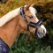 QHP Isalyn Grimes�t - Unicorn Dream 