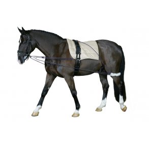 HorseGuard Longeringssystem 