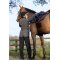 LeMieux Drytex Waterproff Chaps - Sort 