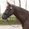 QHP Modest Round Stvnenummer - Flere Farver 