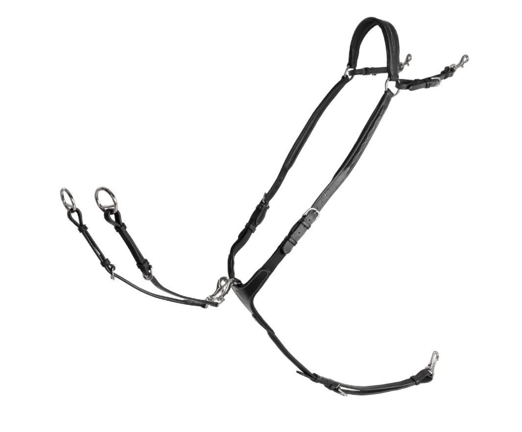 Kllquist Equestrian Lippo Supreme Fazzino Fortj m. Martingal - Sort m. Stl 