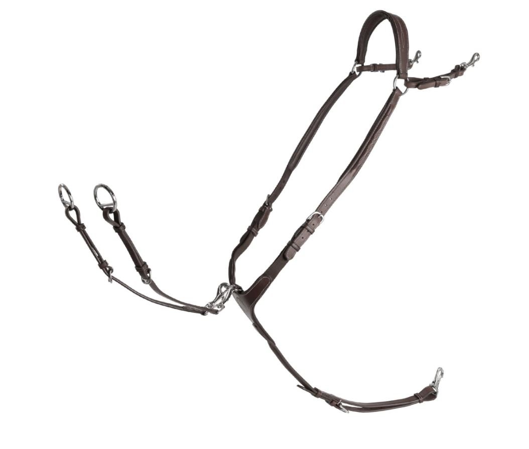 Kllquist Equestrian Lippo Supreme Fazzino Fortj m. Martingal - Chocolate m. Stl 