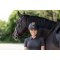 Covalliero Elite Polo Ridehjelm - Mat Sort m. Rosegold & Crystalrock