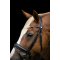 HorseGuard Cryll 25.2 Trense - Sort 
