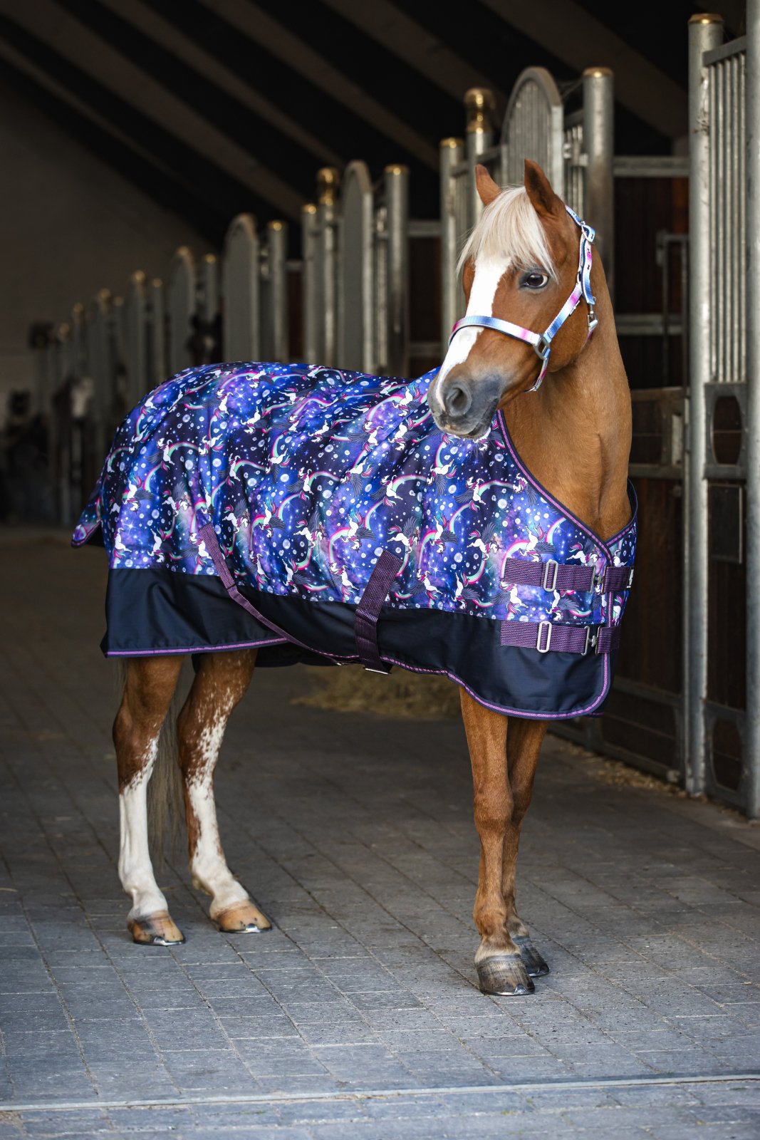 HorseGuard Josh Dkken 100 Gram - Dutch Blue 