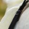 QHP Super Soft Bareback Pad - Natur