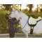 QHP Super Soft Bareback Pad - Natur