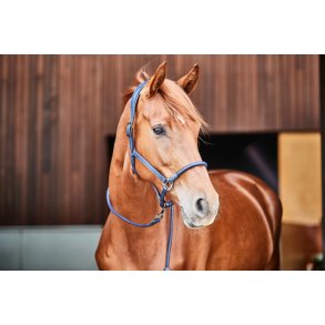 Catago Ldergrime - Navy 