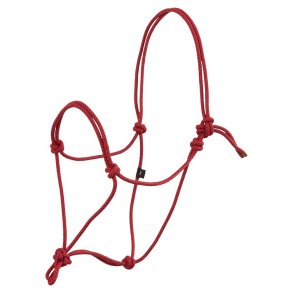 BR Judith Rebgrime - Tango Red 