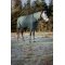 HorseGuard Lynn 400 Gram Dkken - Darkeste Spruce 