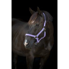 HorseGuard Malva Grime - Lavender 