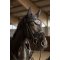 HorseGuard Waco Hut - S�lv