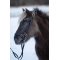 HorseGuard Supergrip T�jler m. Karabinhager - Sort m. St�l 