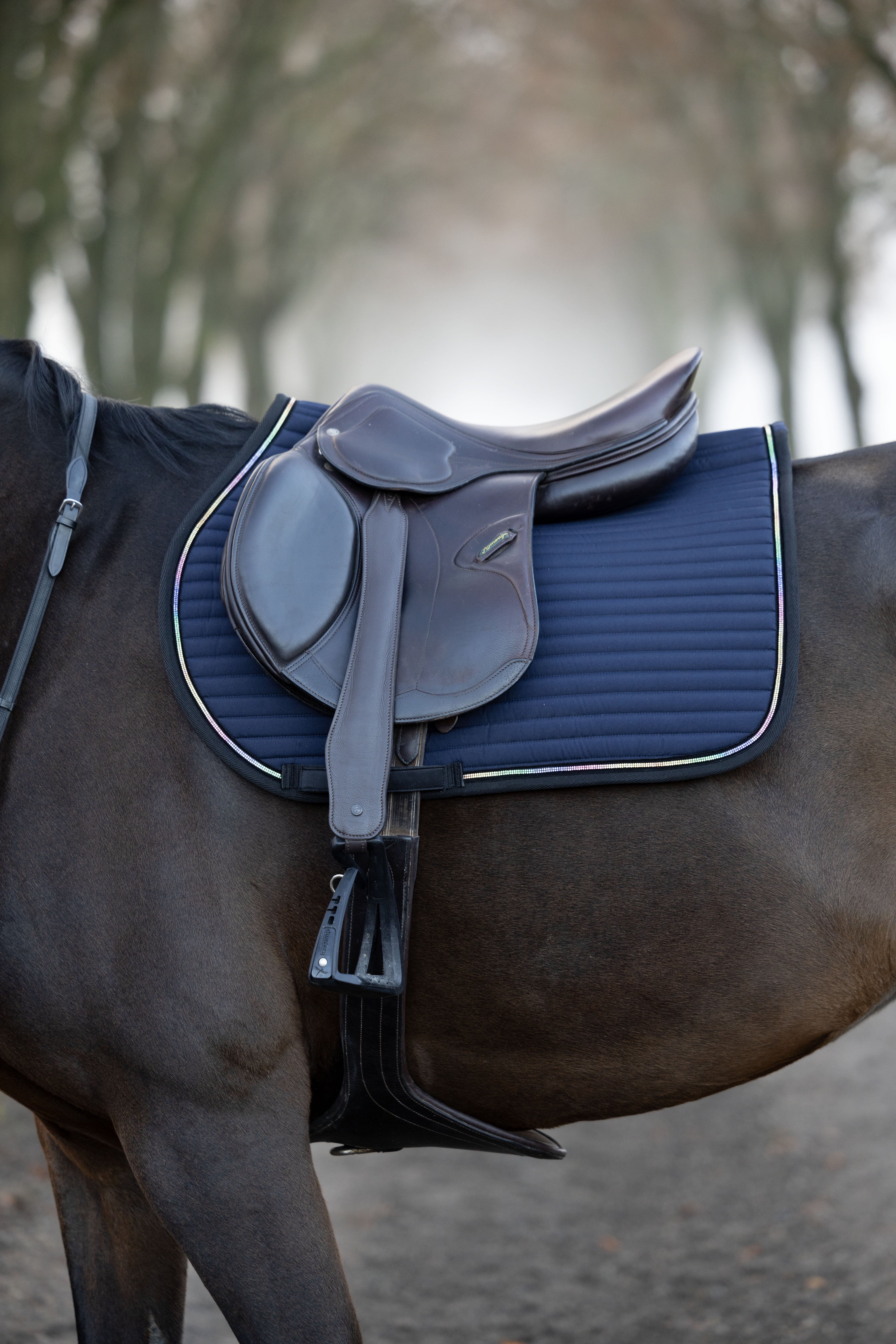 HorseGuard Bellingham Underlag - Navy m. Rainbow 