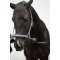 HorseGuard Opbindingsstrop m. Bold - Sort 