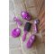 HorseGuard Glitter Hovrenser - Radient Orchid 
