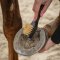 QHP Royal Grooming St - Flere Farver 