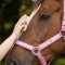 QHP Lyvia Hovedbrste - Pink 