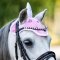 QHP Unicorn 