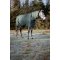 HorseGuard Lynn 400 Gram Dkken - Darkest Spruce 