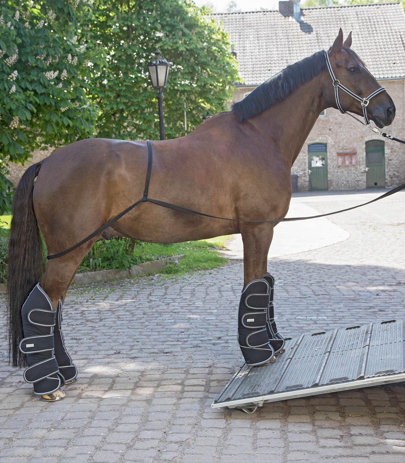 Waldhausen Trailer L�ssetov - Sort 