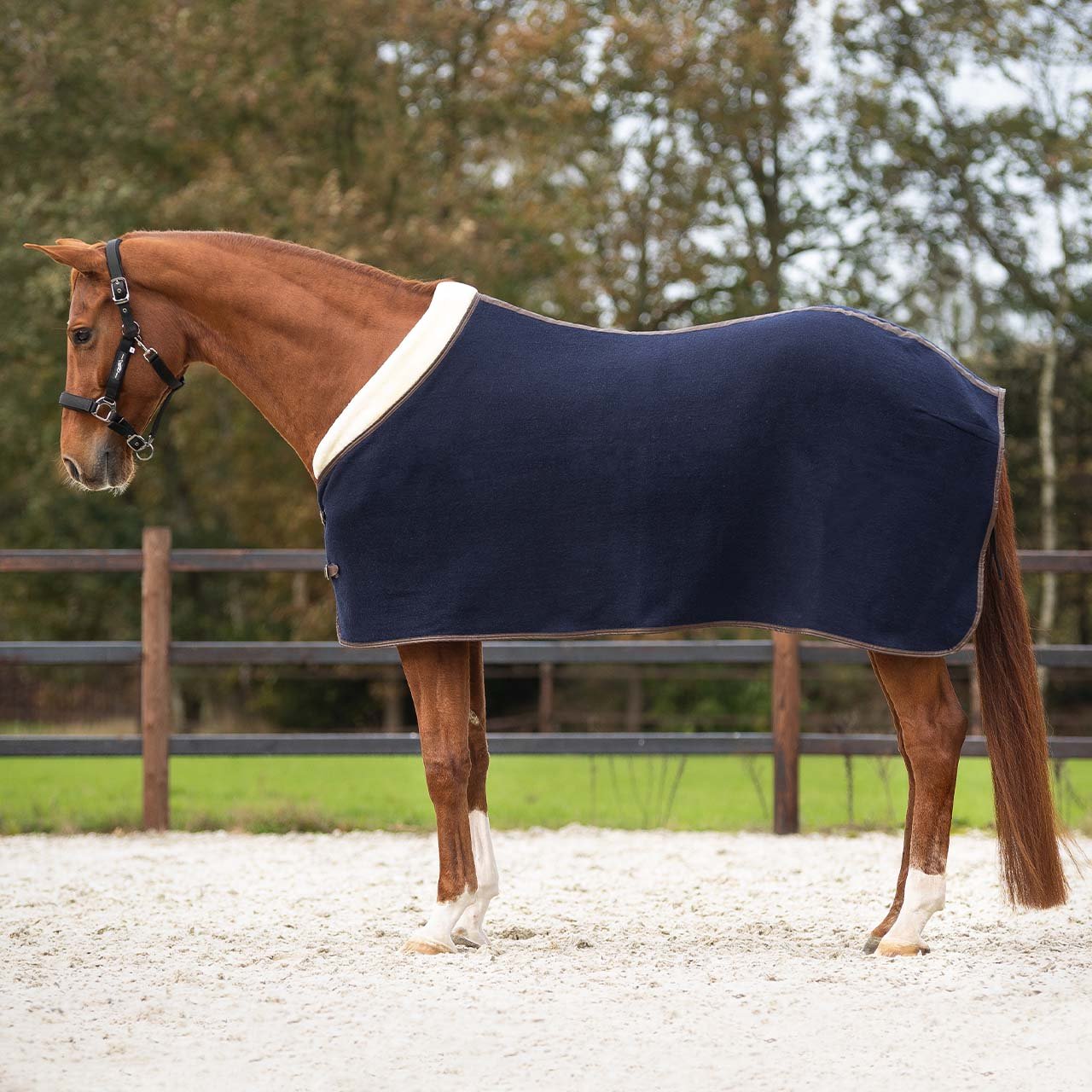 QHP Deluxe Uldd�kken - Navy 