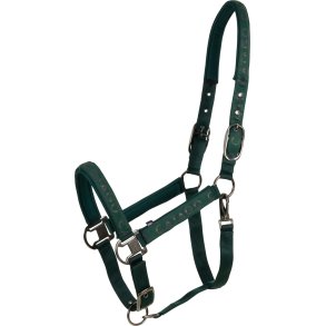 Catago Alea Grime - Ponderosa Pine 