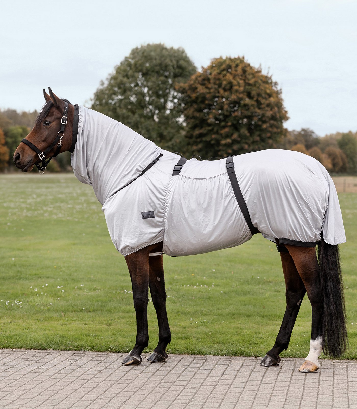 Waldhausen Basic Eksemdkken - Silvergrey 