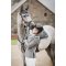 Kllquist Equestrian Horse Life Wendy Stvnejakke - Gr m. Sort 