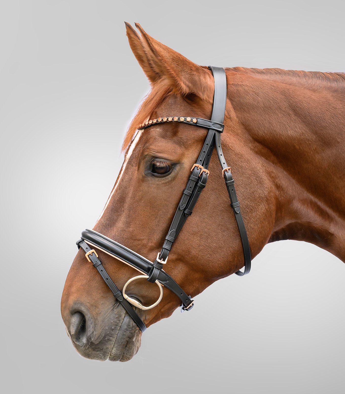 Waldhausen Star Rosegold�Trense - Sort m. Rosegold 