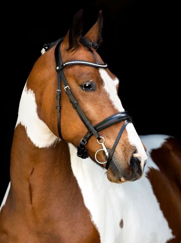 Montar Fair Trense - Sort m. Crystal 