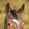 QHP Skye Trense - Sort m. Lak 