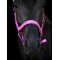 HorseGuard Malva Grime - Phlox Pink 