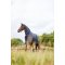 HorseGuard Millan 200 Gram Dkken m. Hals - Navy