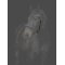 Catago Gentle Bridle K�berem m. Sp�nde - Brun