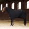 Imperial Riding IRHFundamental Fleecet�ppe m. Hals - Sort 