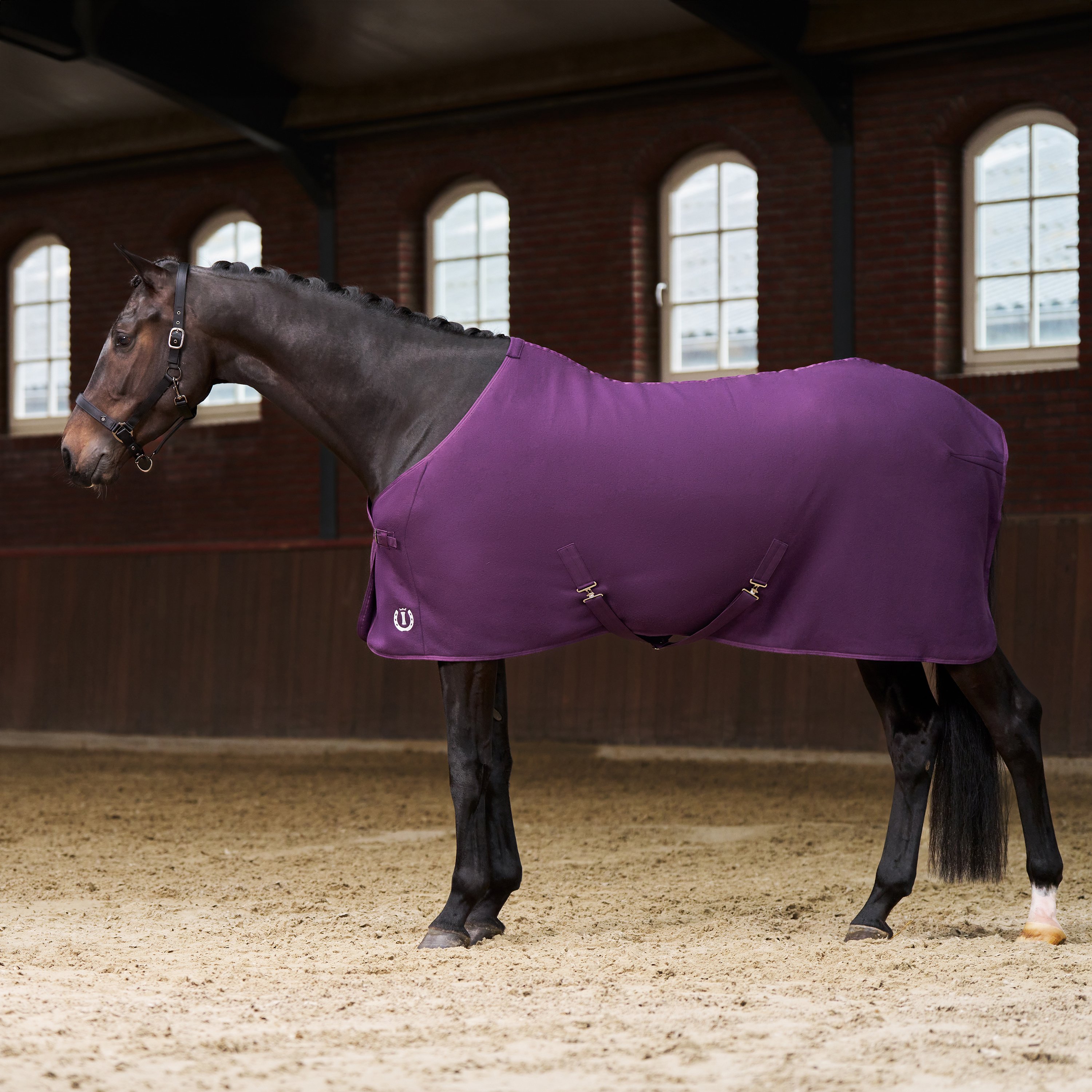 Imperial Riding IRHFundamental Fleecet�ppe - Fig 