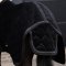 Imperial Riding IRHBandit Showd�kken - Sort 