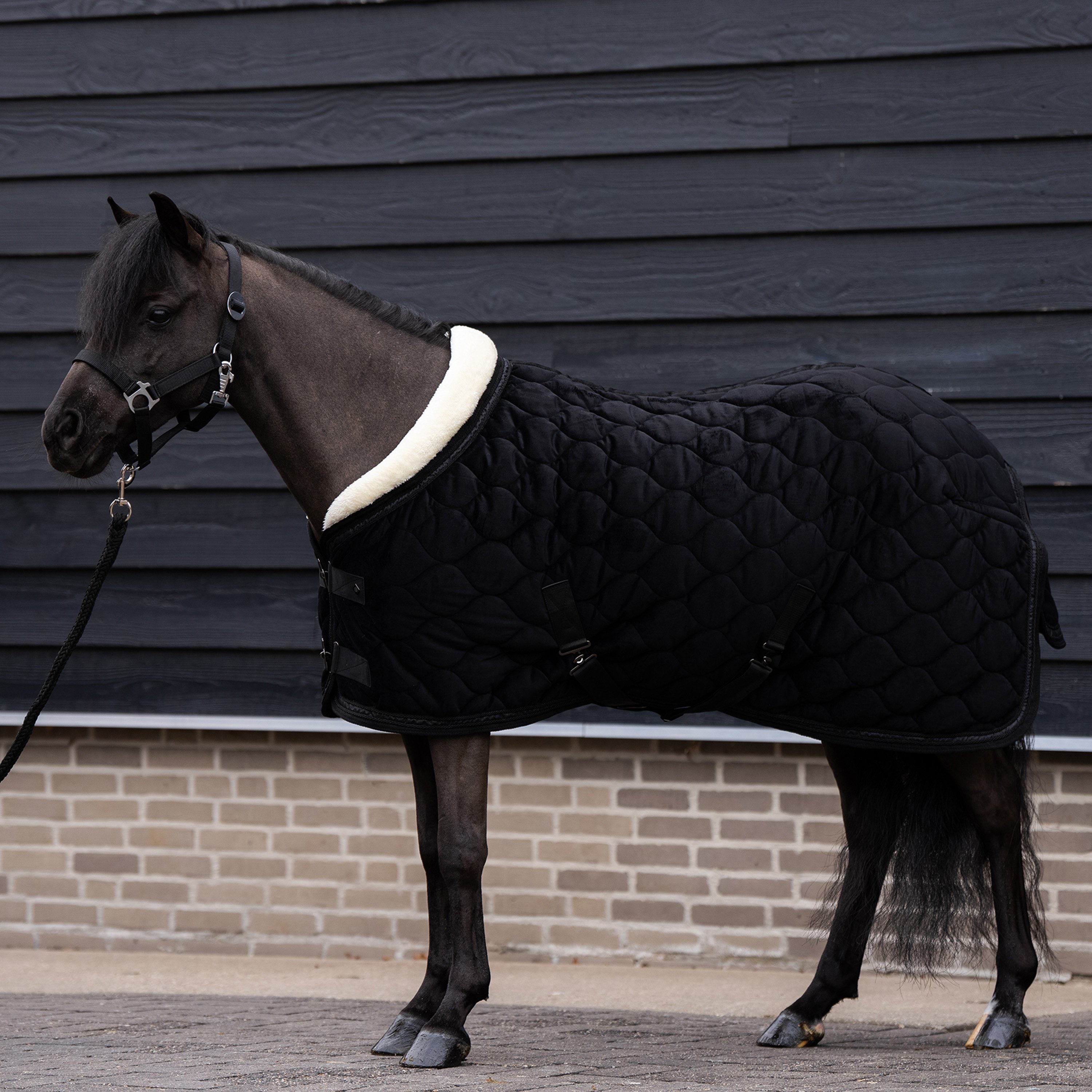 Imperial Riding IRHBandit Showd�kken - Sort 