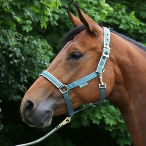 Bucas Dublin Grime - Atlantic/Silver 