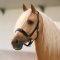Imperial Riding IRHHera L�dergrime - Sort m. Lak 