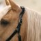 Imperial Riding IRHHera L�dergrime - Sort m. Lak 