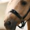 Imperial Riding IRHHera L�dergrime - Sort m. Lak 