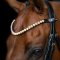 Imperial Riding IRHGrande Pandeb�nd - Sort m. Guld