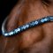 Imperial Riding IRHGrande Pandeb�nd - Sort m. Blue 
