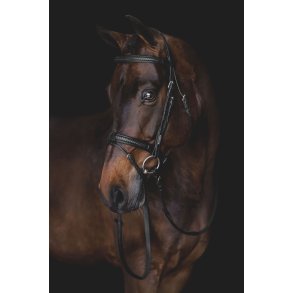 Utzon Equestrian Grand Prix Trense - Mrke Brun m. Slv 