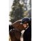 KASK Star Lady Pure Shine Ridehjelm - Sort