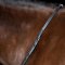 Imperial Riding IRH Gummit�jler m. Magna Grip - Sort 