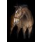 Catago Rochester L�dergrime - Sort 