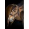 Catago Rochester L�dergrime - Sort 